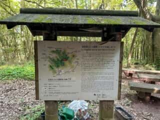 四国八十八ヶ所 80番札所 国分寺〜81番札所 白峯寺