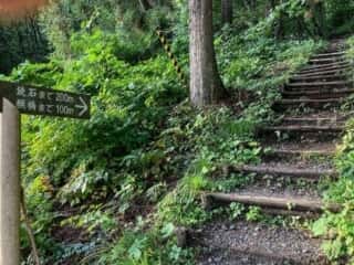 辰子の鏡石への山道　秋田県仙北市