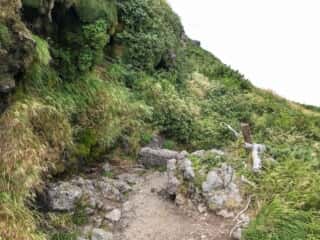 羅臼岳登山道