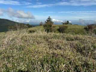 矢筈山・石堂山
