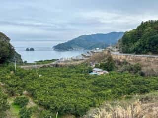 四国八十八ヶ所霊場 第36番札所 青龍寺～第37番札所 岩本寺