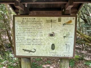 四国八十八ヶ所霊場 第81番札所 白峯寺〜第82番札所 根香寺