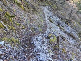 剣山 登山道