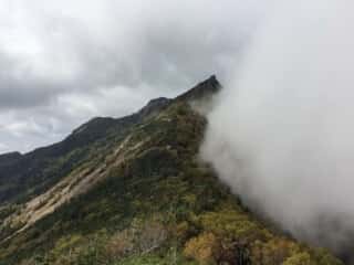 権現岳