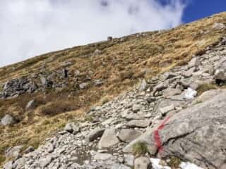 月山登山道