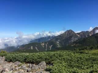 権現岳登山道