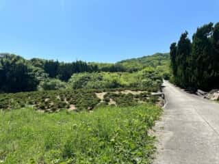 四国八十八ヶ所霊場 第82番札所 根香寺〜第83番札所 一宮寺