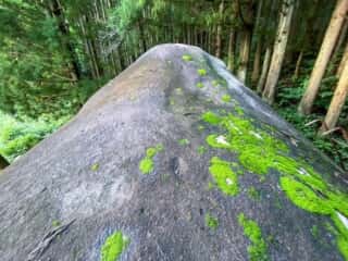 洞雲寺の大石を上から見る
