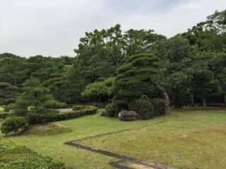 伊勢神宮　参道の神苑