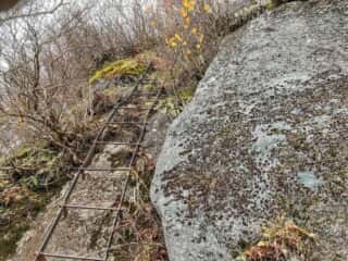 石上登山道