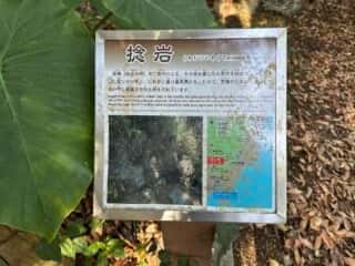 室戸岬ジオパーク