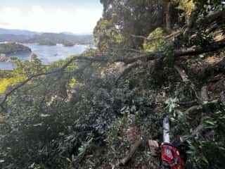 竹ケ島頂上整備工事