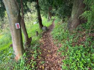 四国八十八ヶ所霊場 第61番札所 香園寺奥の院〜第61番札所 香園寺
