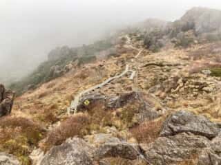 早池峰山 登山道