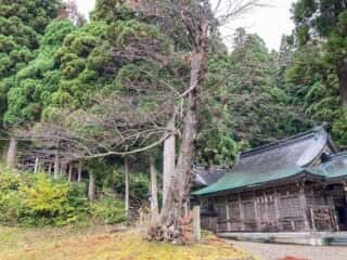 真山神社 境内