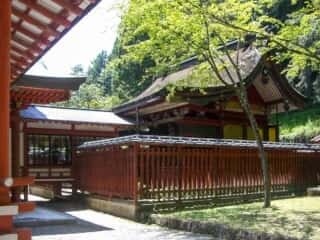 金櫻神社 本殿