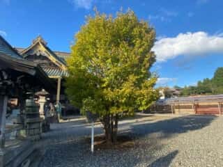 成田山新勝寺
