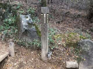 筑波山 登山道