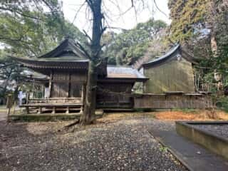 秦神社