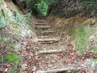 白神岳登山道