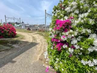 四国八十八ヶ所霊場 第62番札所 宝寿寺