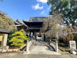 四国八十八ヶ所霊場 第19番札所 立江寺