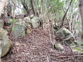 ビシャゴ磯 裏山の巨石群
