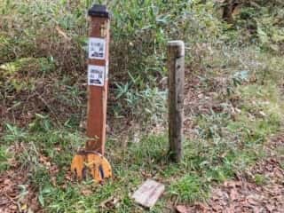 中岳登山道