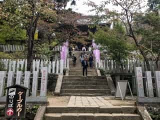 筑波山神社 参道