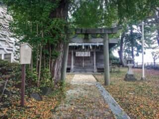 白八幡宮　拝殿