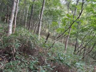 白髪山・平和丸