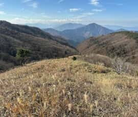 寒峰