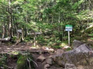 権現岳登山道