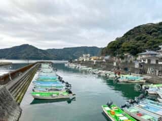 四国八十八ヶ所霊場 第36番札所 青龍寺～第37番札所 岩本寺
