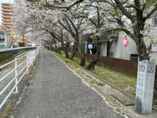四国八十八ヶ所霊場 第51番札所 石手寺〜第52番札所 太山寺