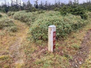 八幡平登山道