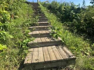 積丹岬自然公園遊歩道