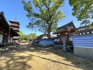 四国八十八ヶ所霊場 第70番札所 本山寺