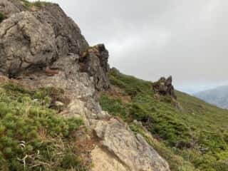 早池峰山 登山道