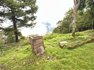 中津山