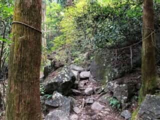 筑波山登山道