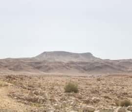 masada