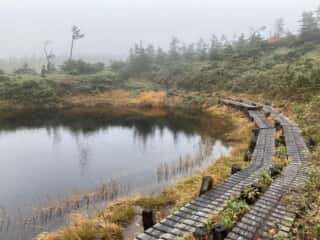 八幡平登山道