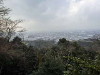 伏見稲荷大社　千本鳥居からの景色
