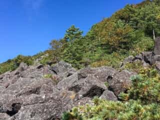 権現岳登山道