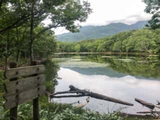 知床五湖 地上遊歩道