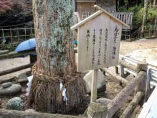 志賀海神社　鳥帽子石・陰陽石