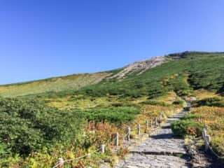 白山頂上への登山道