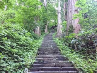 出羽三山神社 三の坂参道