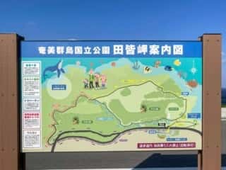 沖永良部島 田皆岬